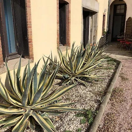 Chez Carca, Au Pied De La Cite